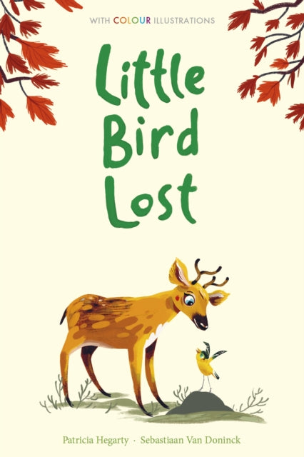 Little Bird Lost-9781788951173