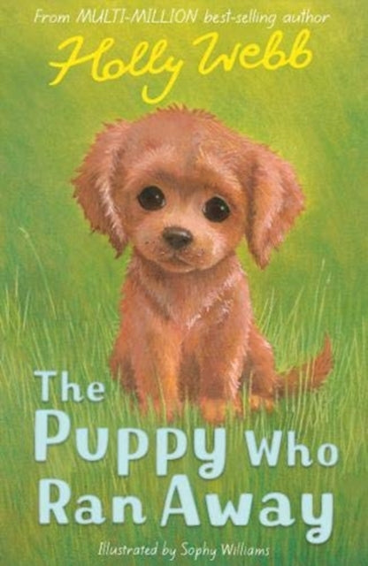 The Puppy Who Ran Away-9781788953030