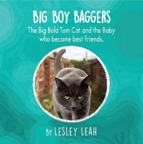 Big Boy Baggers : The Big Bold Tom Cat and the Baby Who Became Best Friends-9781838222369