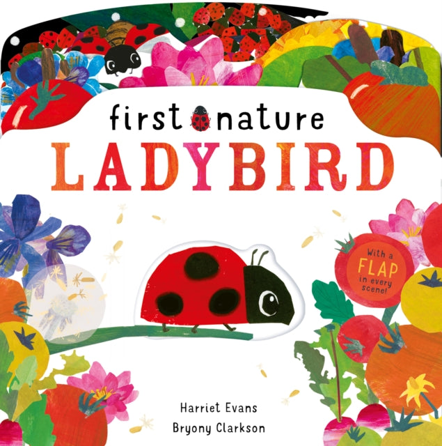 Ladybird-9781838911560
