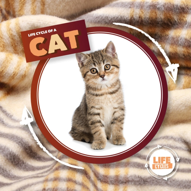 Life Cycle Of A Cat-9781839274770