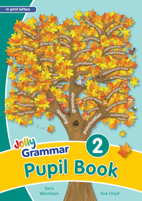 Grammar 2 Pupil Book : In Print Letters (British English edition)-9781844143924
