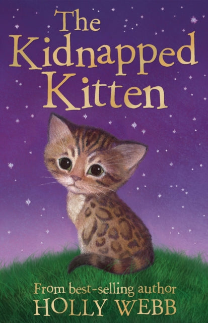 The Kidnapped Kitten-9781847154224