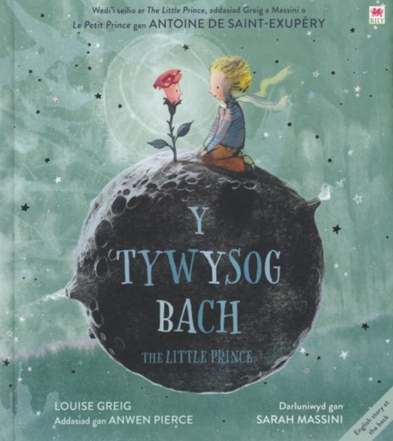 Tywysog Bach, Y / Little Prince, The-9781849676007