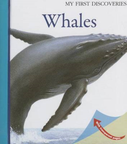 Whales-9781851034253