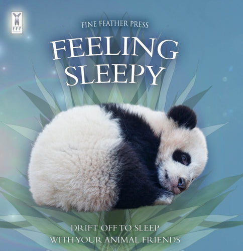 Feeling Sleepy-9781908489463