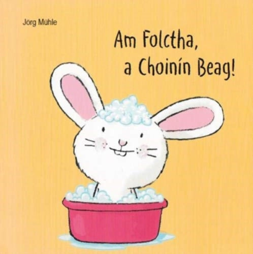 Am Folctha, a Choinin Beag-9781910945698