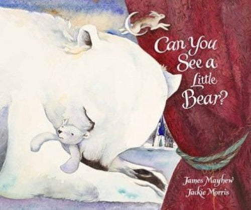 Can You See a Little Bear?-9781910959367