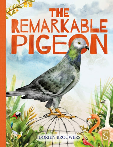 The Remarkable Pigeon-9781913337995