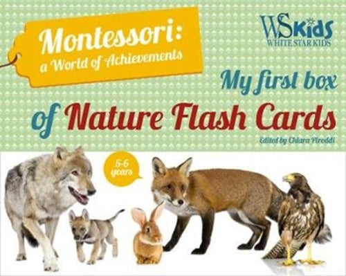 My First Flash Cards Box: Discovering Forest Animals - Montessori World of Achievements-9788854416369