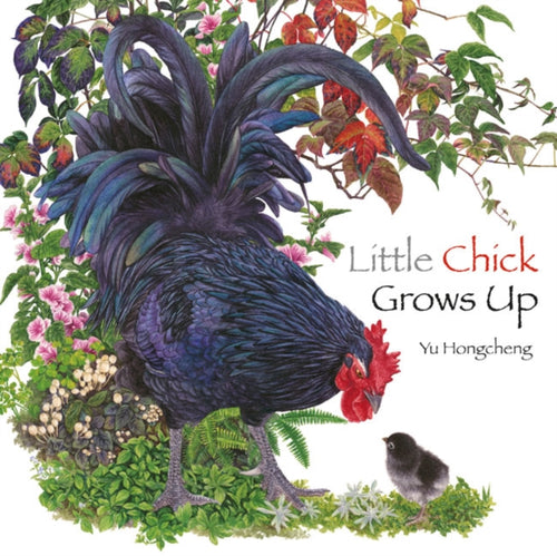 Little Chick Grows Up-9789888342020